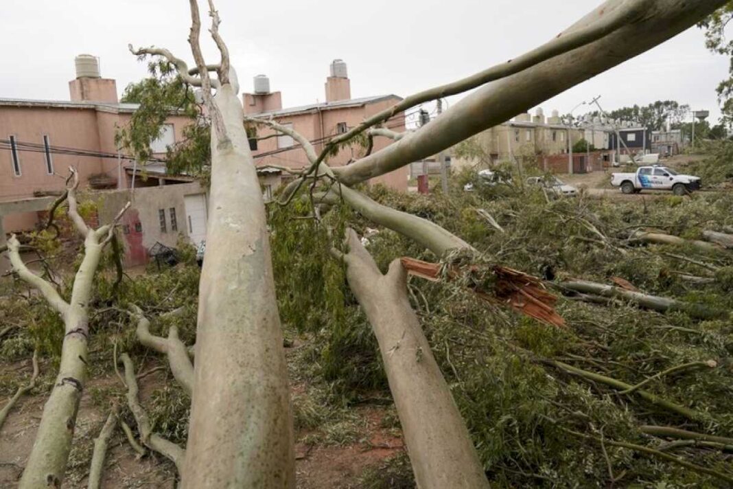 ultimatum-del-intendente-de-bahia-blanca:-dio-24-horas-para-que-las-grandes-empresas-digan-que-aporte-haran-a-la-reconstruccion-de-la-ciudad