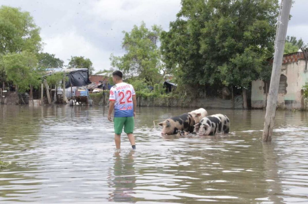 el-drama-de-la-inundacion-en-corrientes:-perdio-todo-y-debe-seguir-pagando-80-mil-pesos-por-mes-por-el-terreno