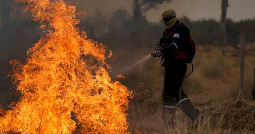 el-gobierno-otorga-un-millonario-subsidio-a-los-bomberos-voluntarios-por-los-incendios-del-ultimo-ano