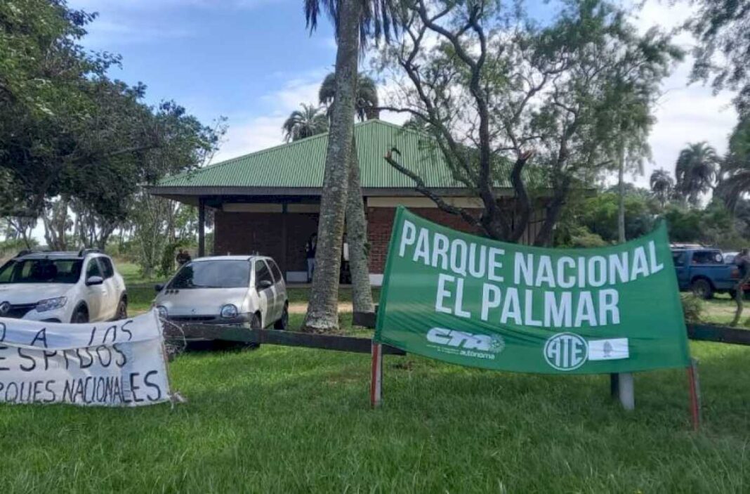 cierre-y-despidos-en-organismos-nacionales:-este-martes,-ate-en-jornada-de-protesta