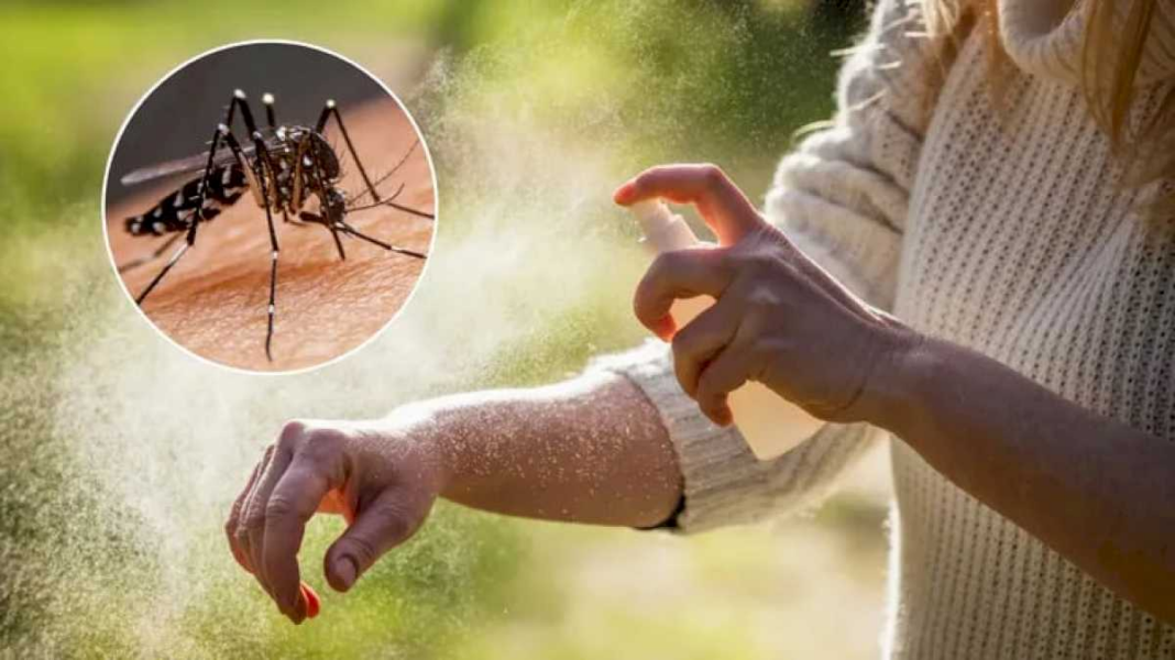 cual-es-el-repelente-mas-efectivo-contra-los-mosquitos-del-dengue,-segun-la-inteligencia-artificial