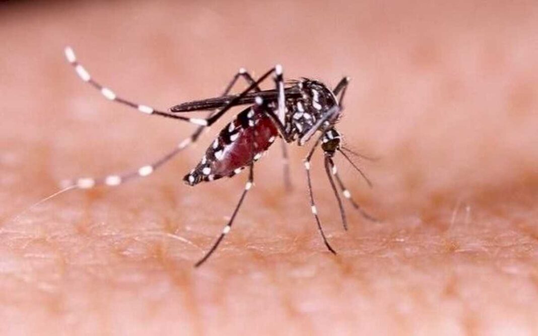 dengue:-salud-indica-en-que-casos-se-debe-acudir-al-medico