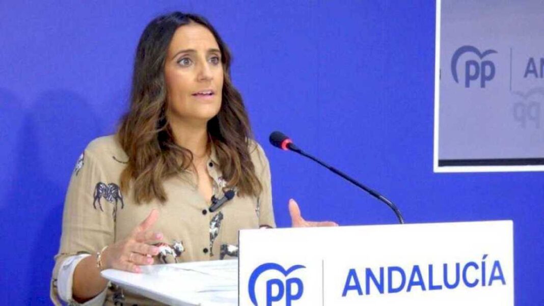 el-pp-cifra-en-280.000-los-andaluces-en-situacion-de-vulnerabilidad-que-quedaran-fuera-de-las-tarjeta-monedero