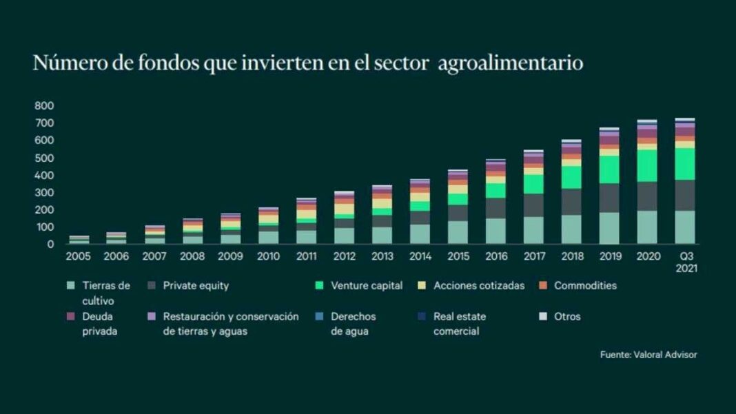 bankinter-se-alia-con-nuveen-para-invertir-100-millones-en-tierras-de-cultivo