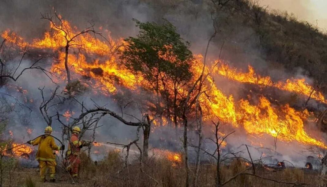 incendios-forestales-en-cordoba:-el-drama-se-repite-y-en-la-zona-le-apuntan-a-un-responsable