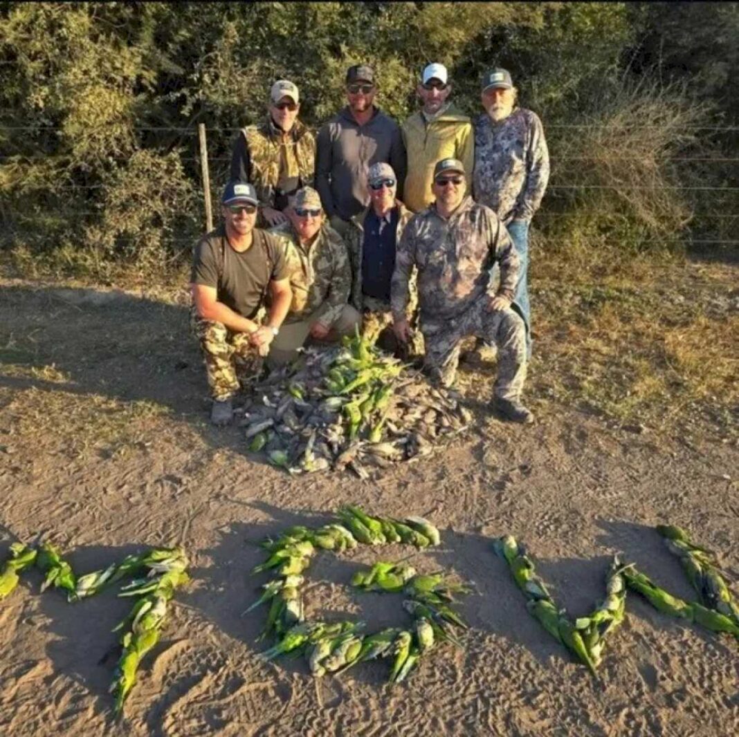 indignacion-en-santa-fe-por-turistas-de-estados-unidos-que-cazaron-decenas-aves-autoctonas-y-mostraron-las-fotos-en-redes-sociales