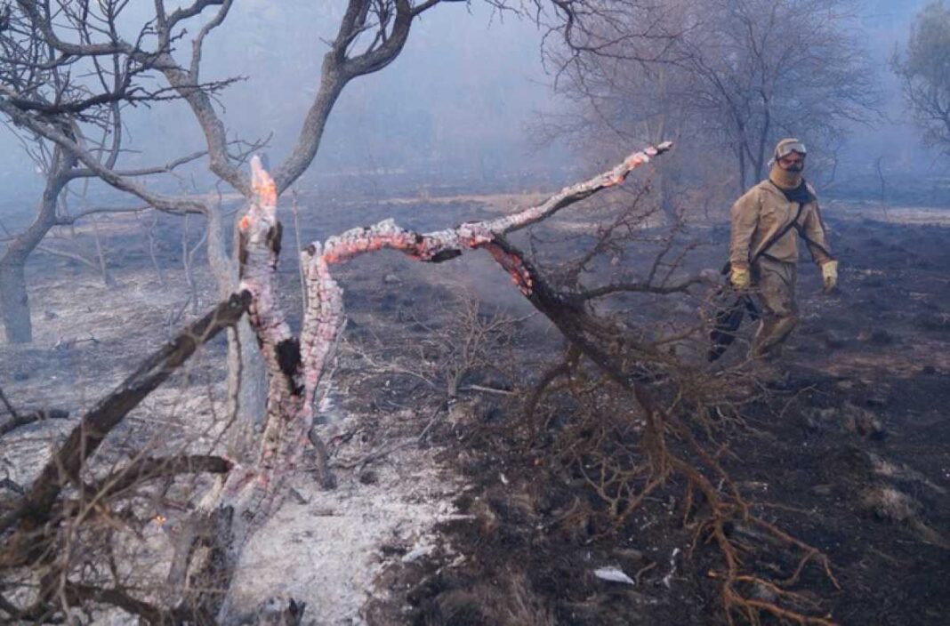 incendios-en-cordoba:-le-piden-mas-recursos-a-daniel-scioli-y-penas-mas-duras-a-los-responsables