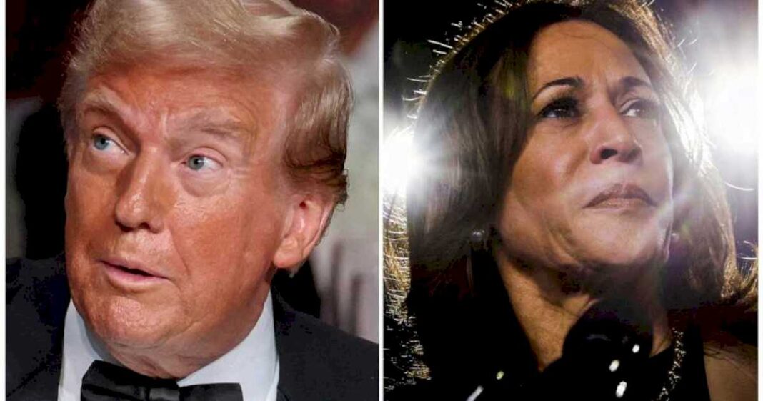 elecciones-en-estados-unidos-2024:-que-le-conviene-a-la-argentina-entre-donald-trump-y-kamala-harris?